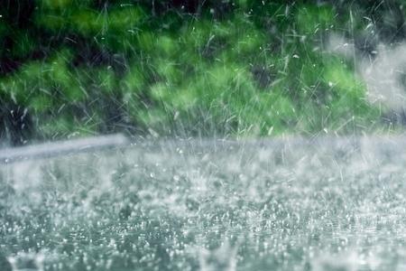 六月的风八月的雨是什么歌