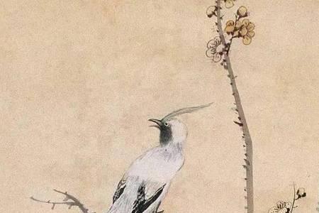 花鸟画常见构图有哪些