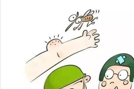 七只蚊子的故事