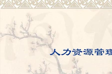 人力资源条线员什么意思