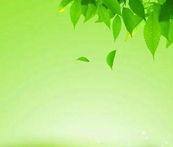 为什么我的微信文字背景是绿色