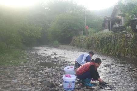 为什么小溪水不能喝