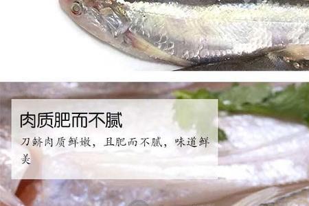 海刀鱼和江刀鱼的区别图片