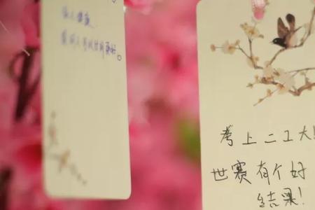 十八岁寓意