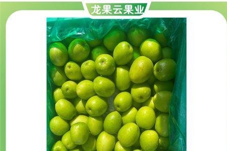 大青枣的小果怎么处理