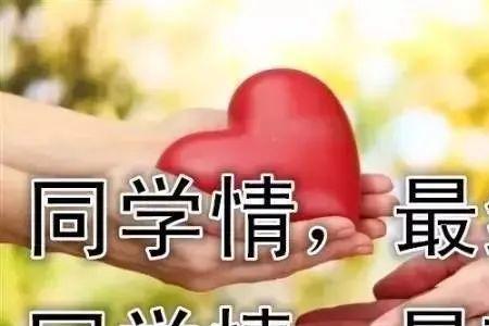 异性老同学每天微信问候正常吗