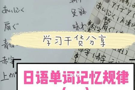 不背单词可以背日语吗