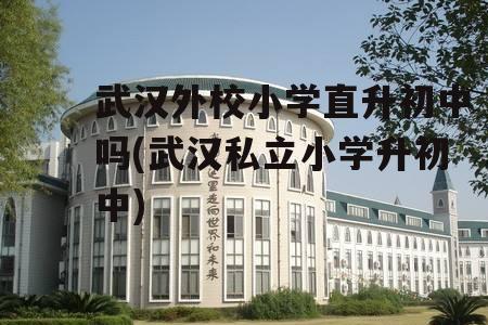 武汉外校有几个民办啊