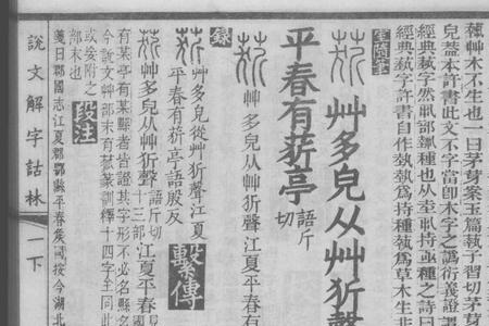 茂权是什么意思