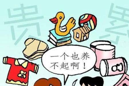 三胎四宝什么意思