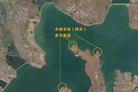 浮游量法是什么意思