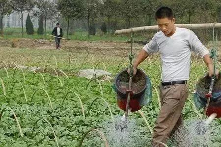 怎样降低肥料水分