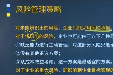 个人承担风险能力怎么写