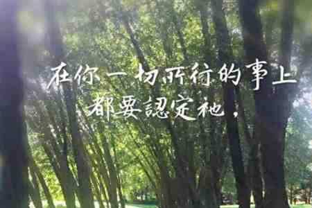 行我所行的意思