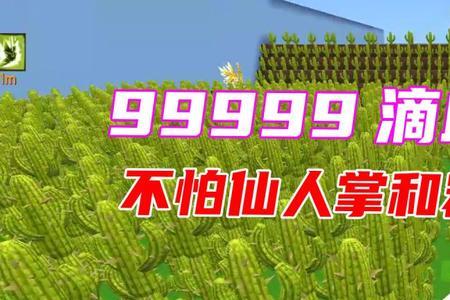 迷你世界怎么种植仙人掌种子