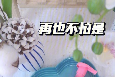 臭宝是谁发明的
