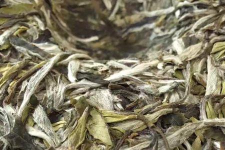 10年的白牡丹怎么没香味