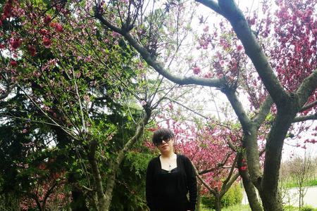 我自风情万种与世无争出自哪里