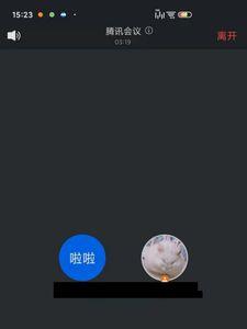 腾讯会议怎么闭其他人的麦