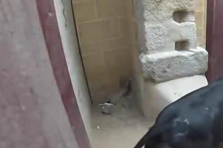 一通猛吹什么意思