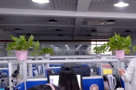 金刚学堂直播是干什么
