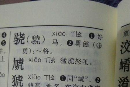 兀王读什么