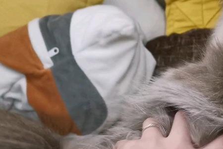 顺毛和逆毛有什么区别