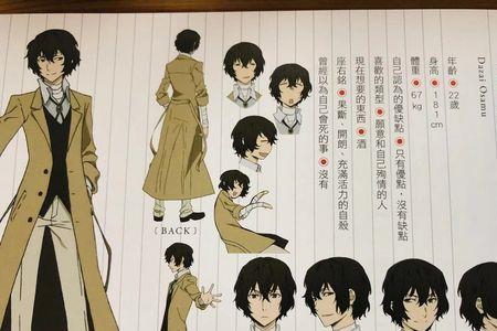 文豪野犬全员身高表