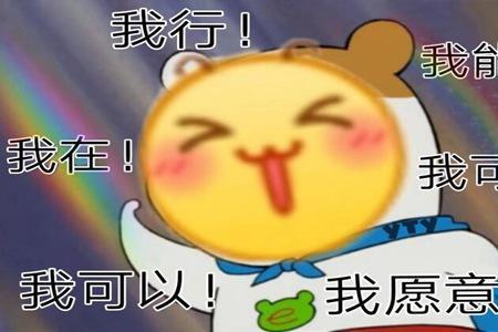 磕cp55开什么意思