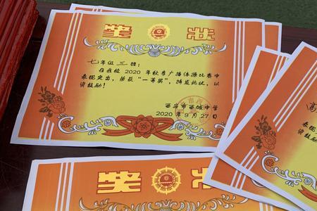班委获奖情况怎么填