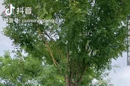 中介说的月底在职啥意思