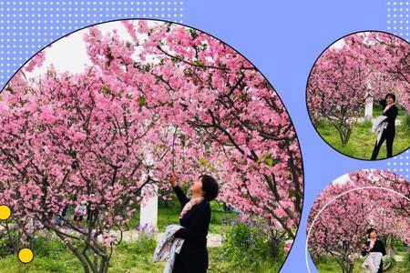花丛中的句子
