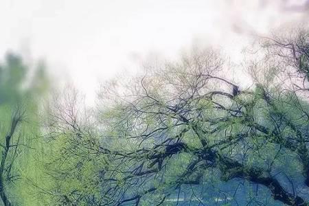 湖上萧萧疏雨过译文
