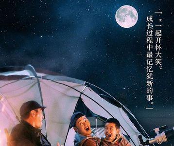 一起流浪打一数字