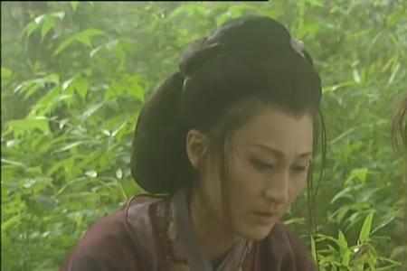 穿越笑傲江湖收了宁中则的小说