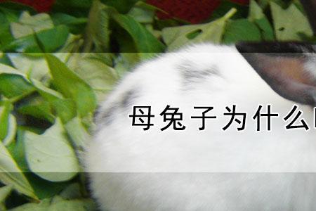 为什么不能吃别人家的东西