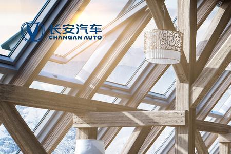 unik为什么有两个防冻液