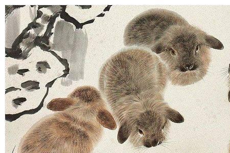 点点滴滴到深夜是指什么生肖