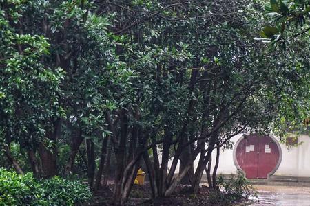 雨下听风下一句是什么
