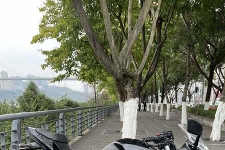 铃木GSX250R摩托车的中后置减震怎么调