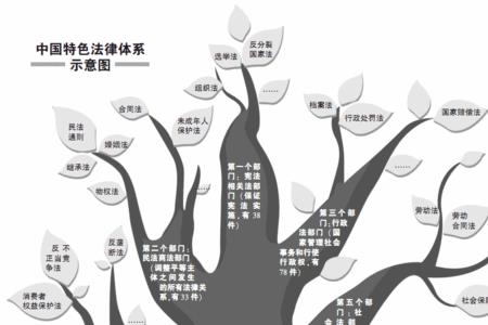 我国法学体系的六大分支是哪些
