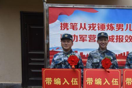 兵皆罢归家中罢的意思是什么
