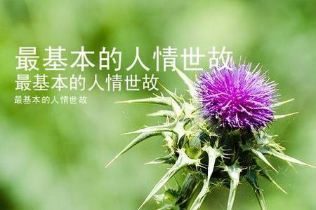 人情世故对偶句