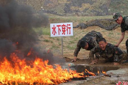 特战精神是什么