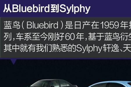 上一代和上一辈的区别
