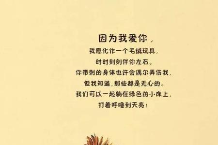 我愿意为你奋不顾身原唱