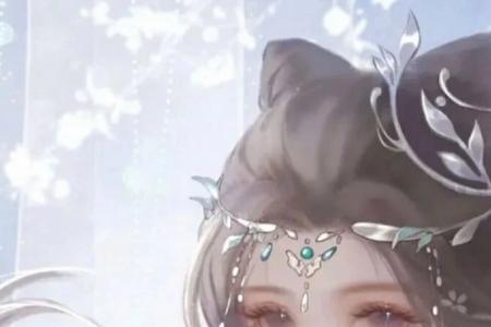 时光予你霜华什么意思