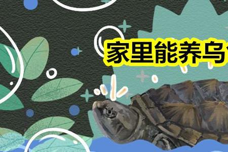 地下储藏室可以养龟吗