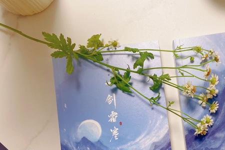 一剑霜寒十四州小说出处