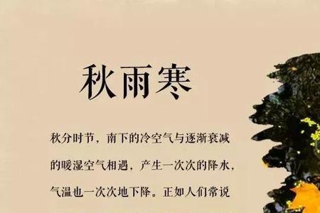 有句谚语叫什么一辈不如一辈